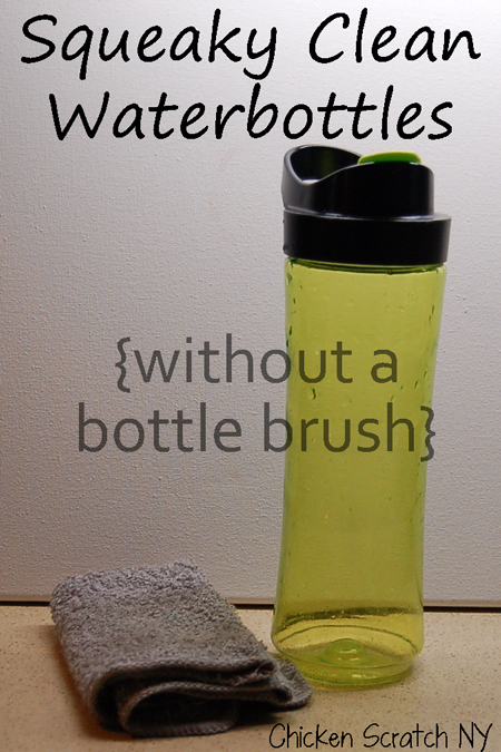 Squeaky Clean Water Bottles without a bottle brush