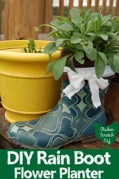 blue patterned rainboot with dwarf flowering coreopsis inside on a woded deck with a yellow planter in the background