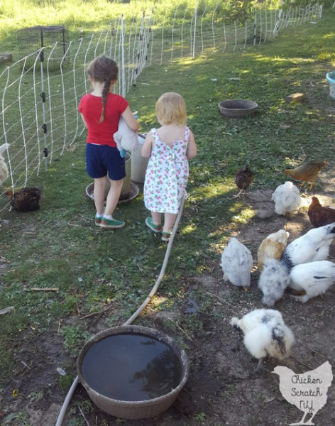 two little girls filling chicken wateres with a hose surrounded by chickens