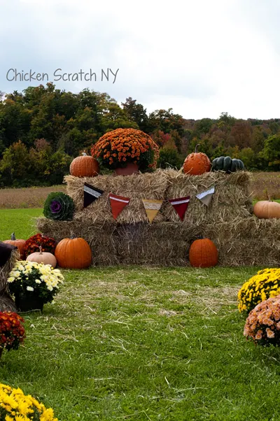 Country Farm Wedding Ceremony Site