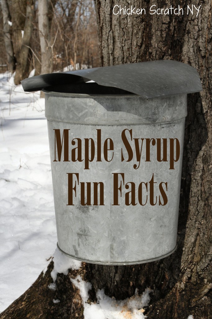 Maple Syrup Season Facts 