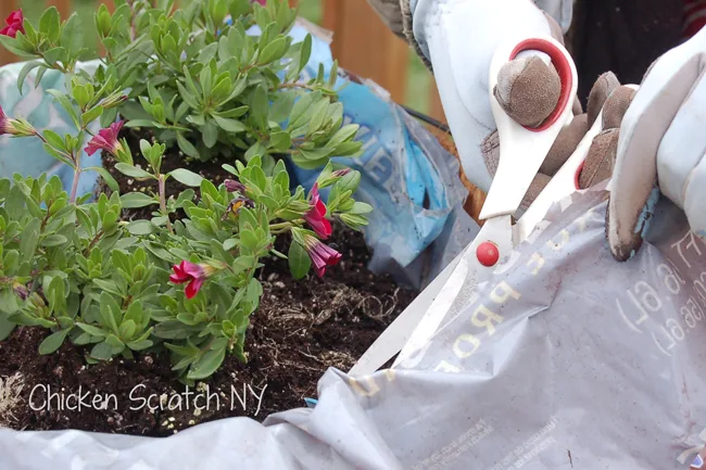 Plastic Lined Coir Baskets