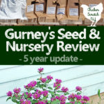 gurney's plant review, magenta bee balm, boxes of plants delivered by mail