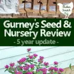 gurney's plant review, magenta bee balm, boxes of plants delivered by mail