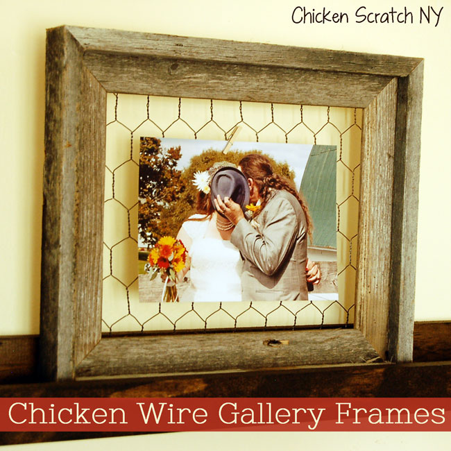 Chicken Wire Gallery Frames