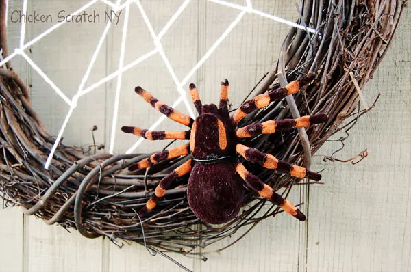 Halloween Orange & Black Spider