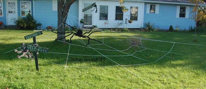 Giant Lawn Spider Webs