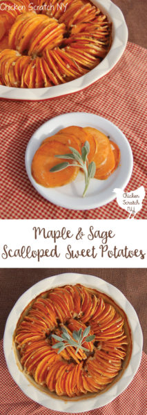 Maple Sage Scalloped Sweet Potatoes, thanksgiving dinner, thanksgiving side dish