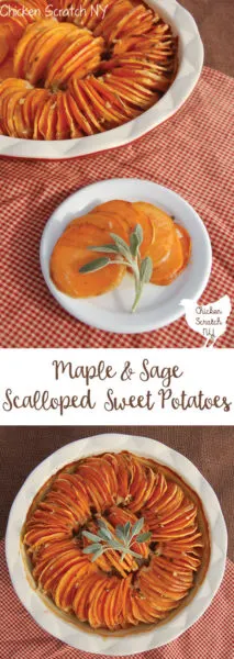 Maple Sage Scalloped Sweet Potatoes, thanksgiving dinner, thanksgiving side dish