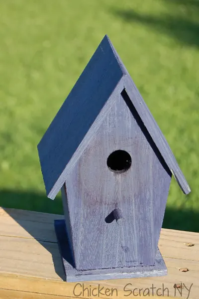 Dyed Birdhouse