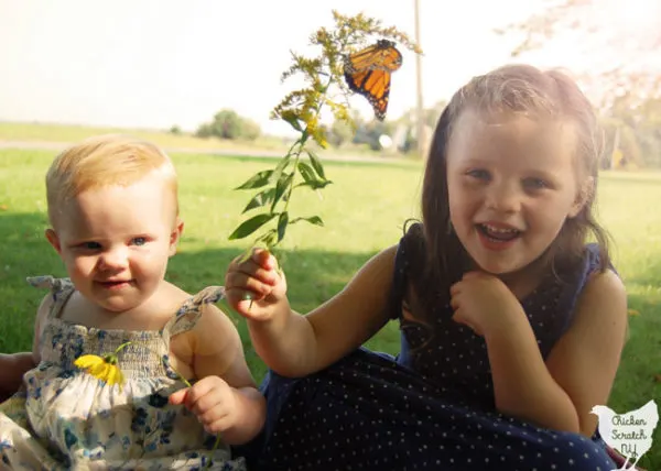 Monarch butterfly release 2017