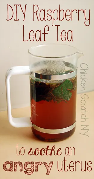 Make your own black raspberry tea to end period pain