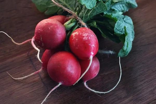 bunch of baby radishes 