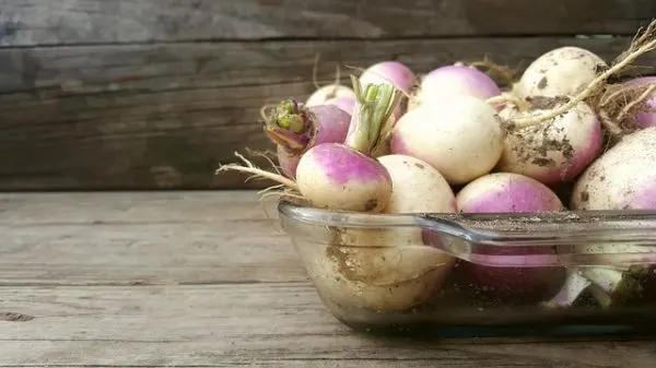 white turnip in bowl