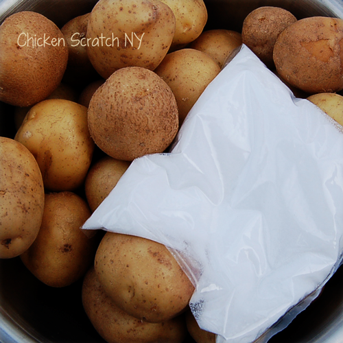 New Potatoes and Salt for Salt Potatoes