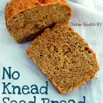 No Knead Seed Bread - Fast and easy to throw together with a little bit of this and a little of that you can whip up your own hearty loaf (it makes the best toast!)