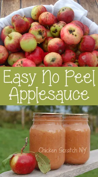 Turn your ugly apples into applesauce without peeling, dicing or coring for a tasty, healthy treat