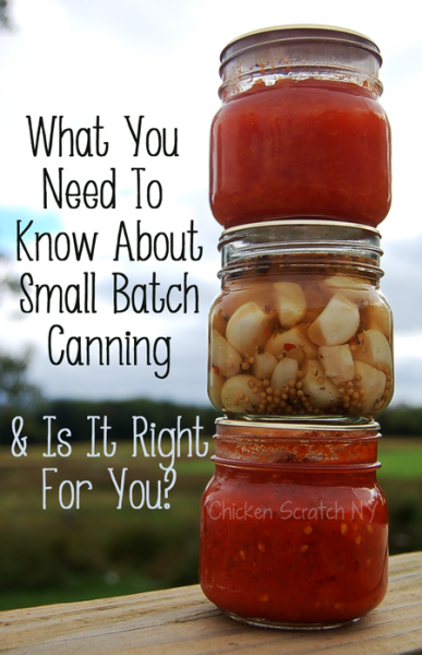 Pros and Cons of Small Batch Canning