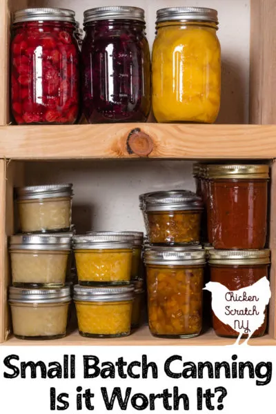 canning jars filled with fruit and salsa on a a wooden rustic shelf