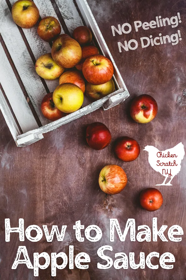 What to Do with Very Small Apples - Make Easy no-peel Applesauce! 