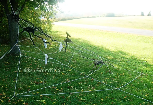 Halloween Spider Webs with Dangling Mummified Spider Snacks and Warning Signs