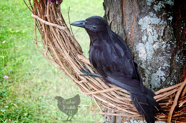 Wicked Wisteria Halloween Wreath