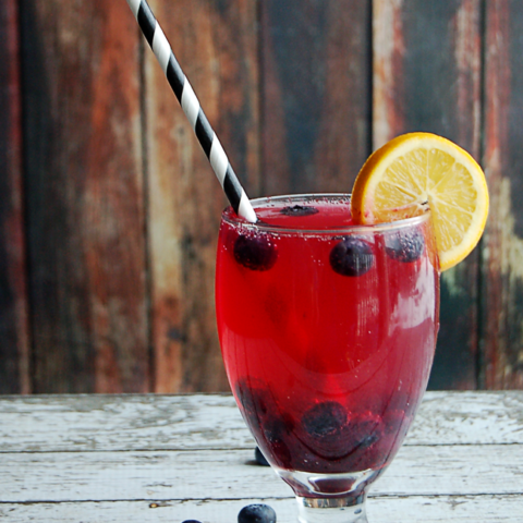 Meyer Lemon Blueberry Soda