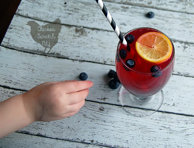 A healthy, homemade Meyer Lemon Blueberry soda with real food ingrediants (an no artificial or processed ingrediants) is a delicious way to brighten your day