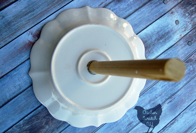 Turn a dinner plate into a pretty Bee & Butterfly Waterer in minutes with easy to find supplies