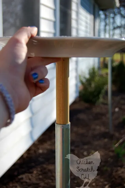 Turn a dinner plate into a pretty Bee & Butterfly Waterer in minutes with easy to find supplies