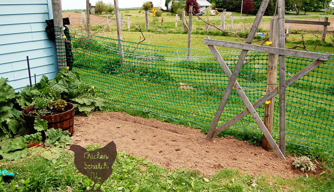 Create a DIY Whiskey Barrel Mint Garden in less than an hour and learn why you should never plant mint directly in the ground