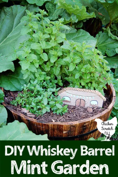 half whiskey barrel planted filled with a variety of mints and a DIY fairy house
