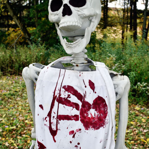 life sized halloween skeleton wearing a white Bloody Halloween Apron
