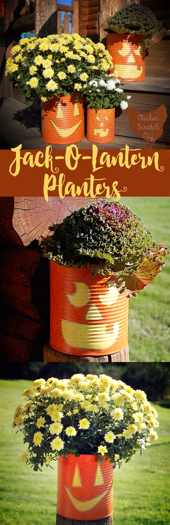 Whip up a set of Jack-O-Lantern Planters from tin cans this fall. Fill them with seasonal flowers for a fun pop of color on your front porch.