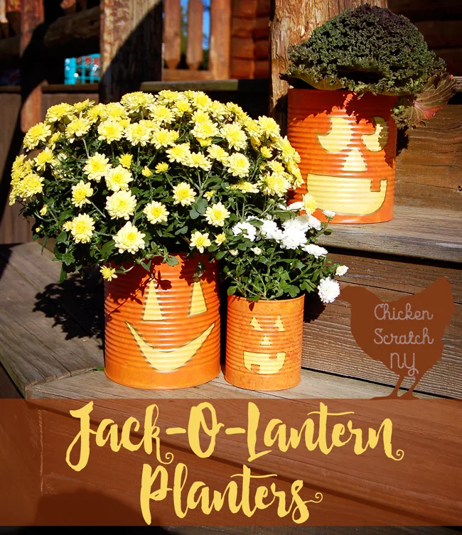Whip up a set of Jack-O-Lantern Planters from tin cans this fall. Fill them with seasonal flowers for a fun pop of color on your front porch