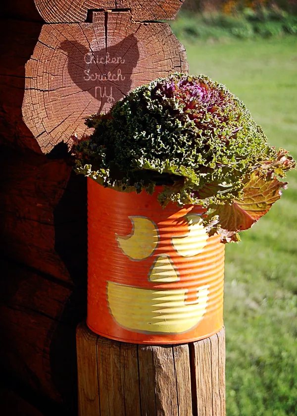 Whip up a set of Jack-O-Lantern Planters from tin cans this fall. Fill them with seasonal flowers for a fun pop of color on your front porch