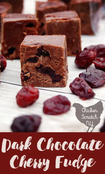 Whip up a decadent dark chocolate cherry fudge with this quick stove top recipe. Overflowing with tart cherries this sweet treat is sure to be a holiday hit