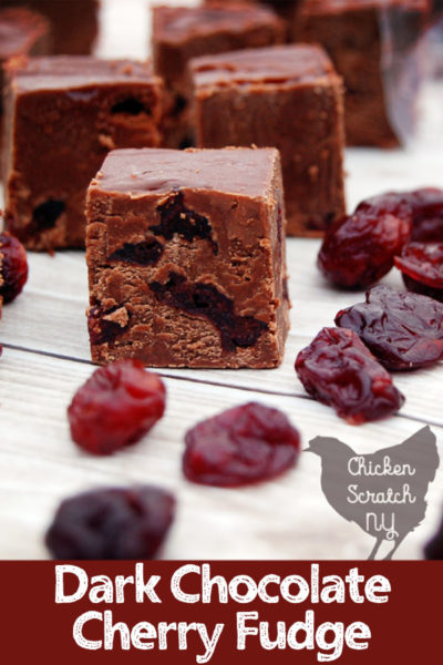piece of dark chocolate cherry fudge on a white background with scattered dried cherries around it