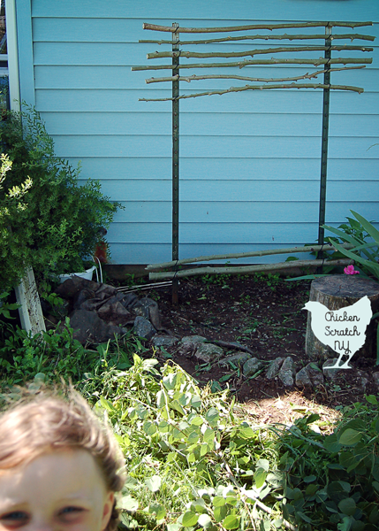 Give your climbing plants a hand with this budget friendly t-post trellis. T-posts, zip ties and branches come together to make a charming garden accent