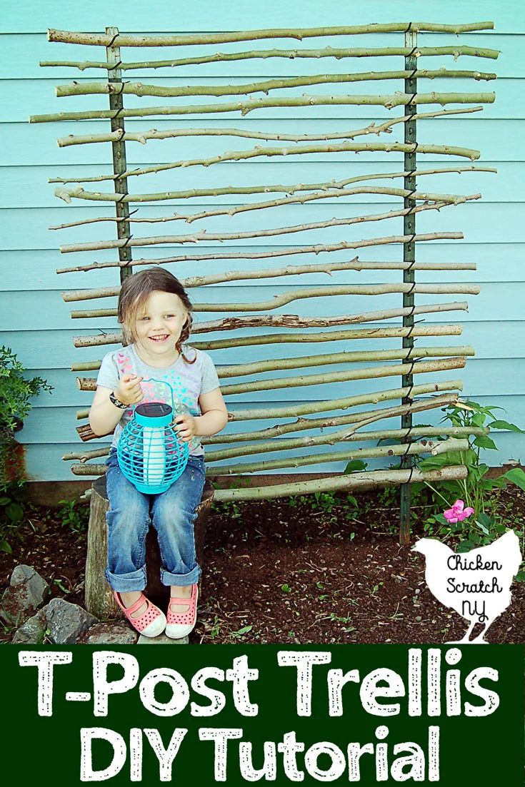 Cheap & Easy DIY Rustic Garden Trellis made with T-Posts & Branches