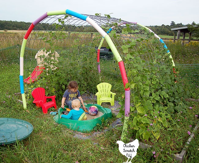 catle panels bent into a play structure with colorful pool noodles on the sides supporting pole beans covering a green trurtle sandbox with two little girls playing inside