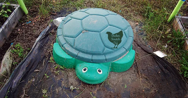 turtle sandbox in the garden