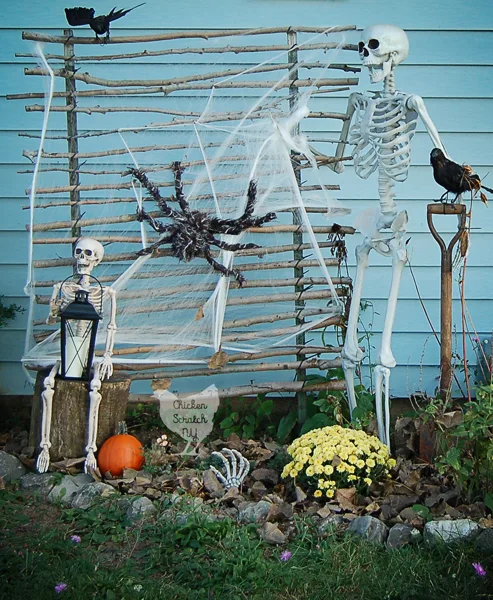 spooky Halloween skeleton display made with two fake human skeletons, mums, pumpkins and various Halloween decorations in a garden bed