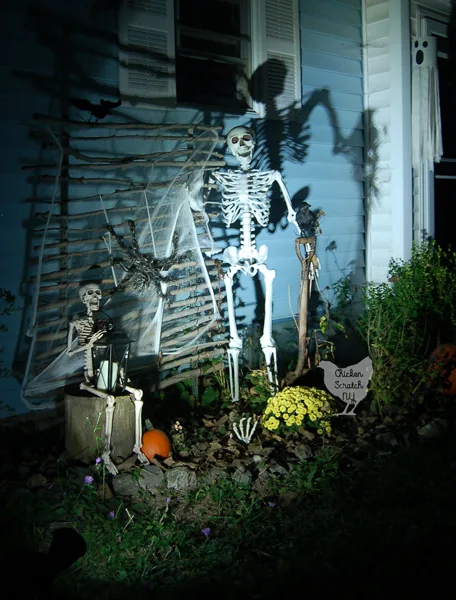 Combine a few easy-to-find elements, zip ties and a spot light to create a spooky skeleton Halloween display to enjoy day and night