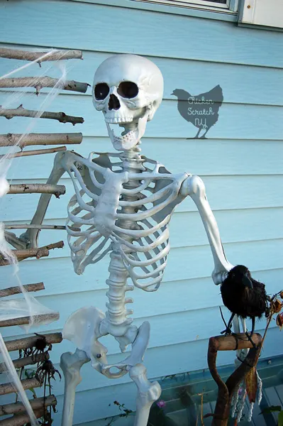 Combine a few easy-to-find elements, zip ties and a spot light to create a spooky skeleton Halloween display to enjoy day and night