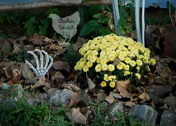 Combine a few easy-to-find elements, zip ties and a spot light to create a spooky skeleton Halloween display to enjoy day and night