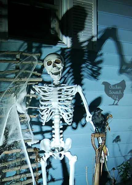 Combine a few easy-to-find elements, zip ties and a spot light to create a spooky skeleton Halloween display to enjoy day and night