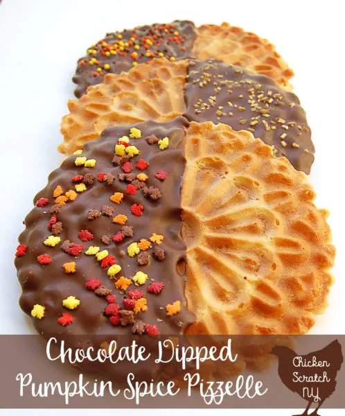 pumpkin chocolate, fall cookie, easy cookies, fancy cookies, pizzelle, no bake cookies