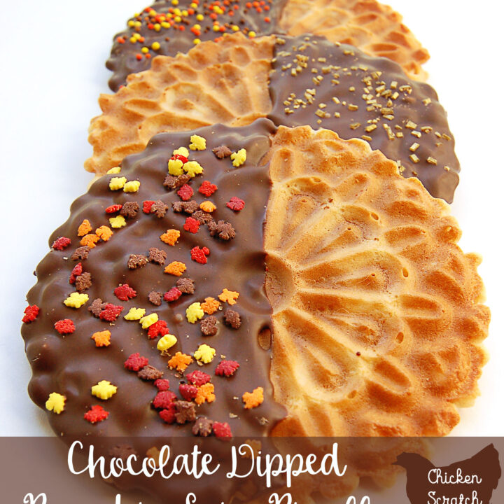 pumpkin chocolate, fall cookie, easy cookies, fancy cookies, pizzelle, no bake cookies