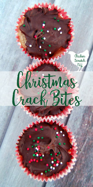 Get everything you love about Christmas Crack in bite. Just as addicting as the original but easier to store and give away to friends & family